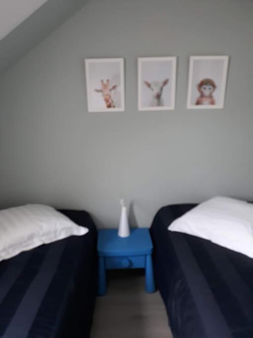 Les Cottages Du Golf A Ploemel Esterno foto